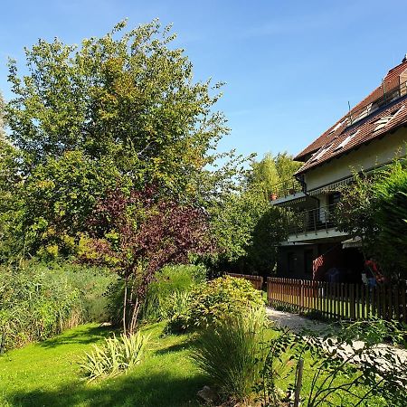 Beach Club Apartman Mosonmagyaróvár Kültér fotó